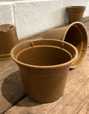 Plastic free biodegradable pots