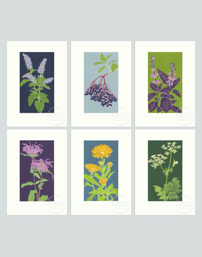 Herb Screenprint Collection