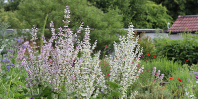 Read about Jekka's Herb Garden at the Herb Farm in South Gloucestershire.