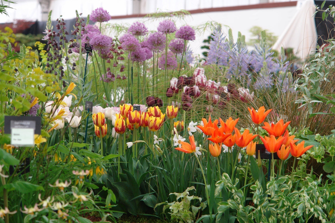 Where Have All the Flowers Gone?