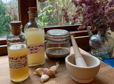 Garlic and lemon elixir