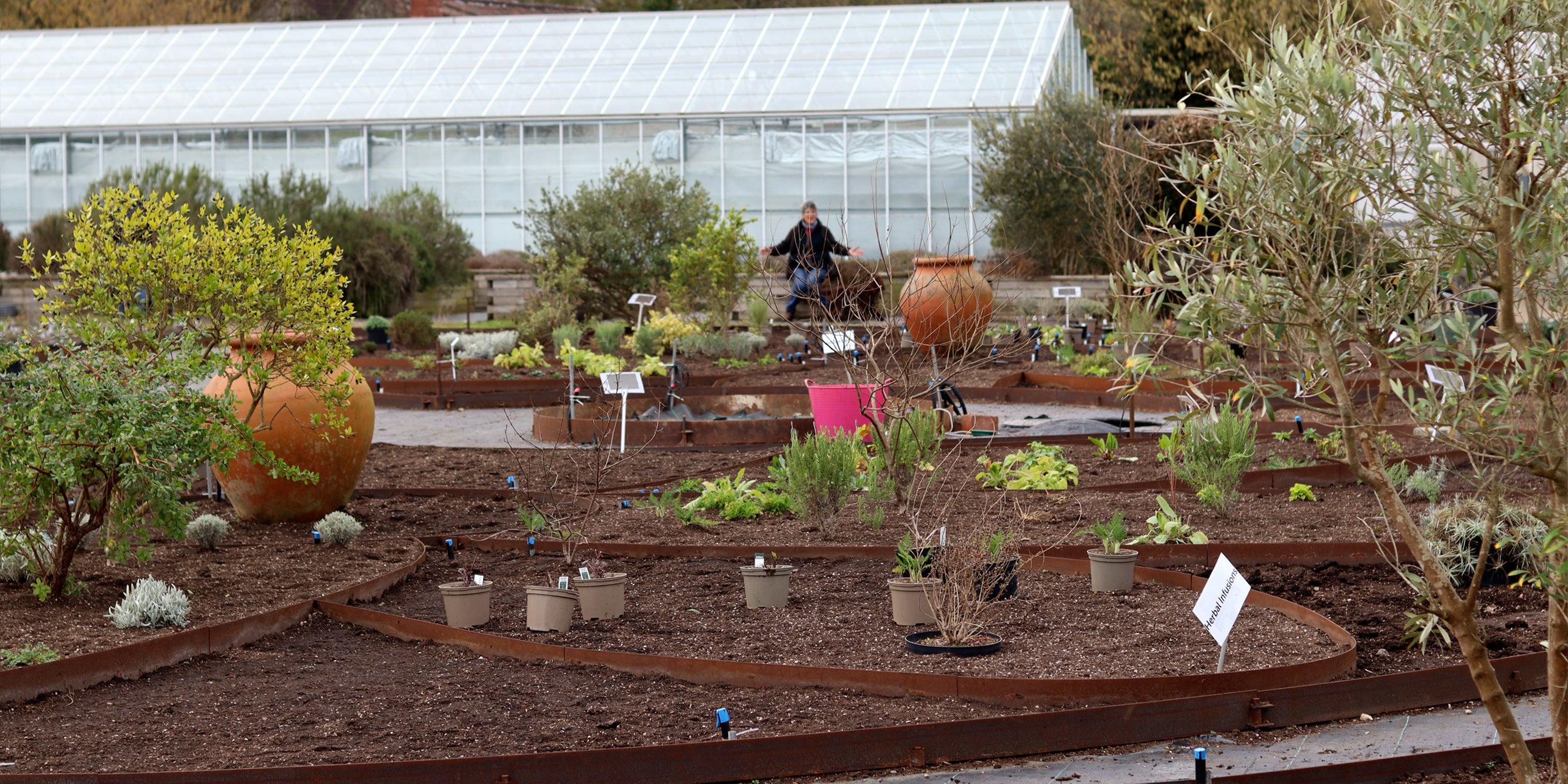 Herb Petal Planting | Herb Garden Design | Jekka's Herb Garden