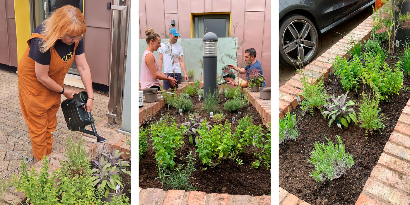 Jekka’s Urban Car Park Herb Garden