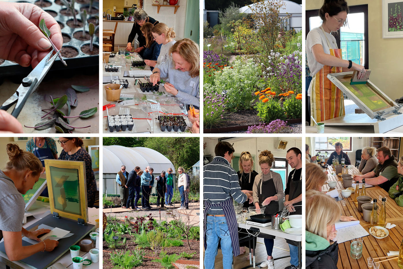 Launching Jekka's Spring Master Class for 2025 and enter our annual Herb Photography competition