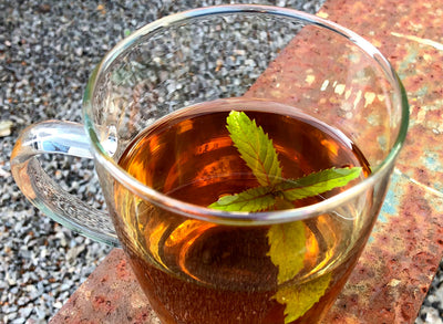 Jekka's Perfect Mint Herbal Infusion