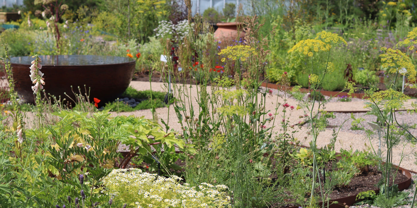 Celebrate your pollinators and the summer with Jekka's!