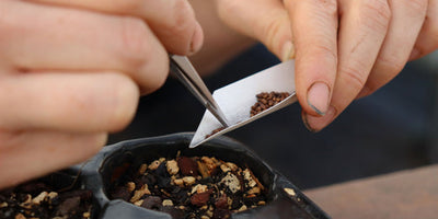 Join Jekka's Seed Club