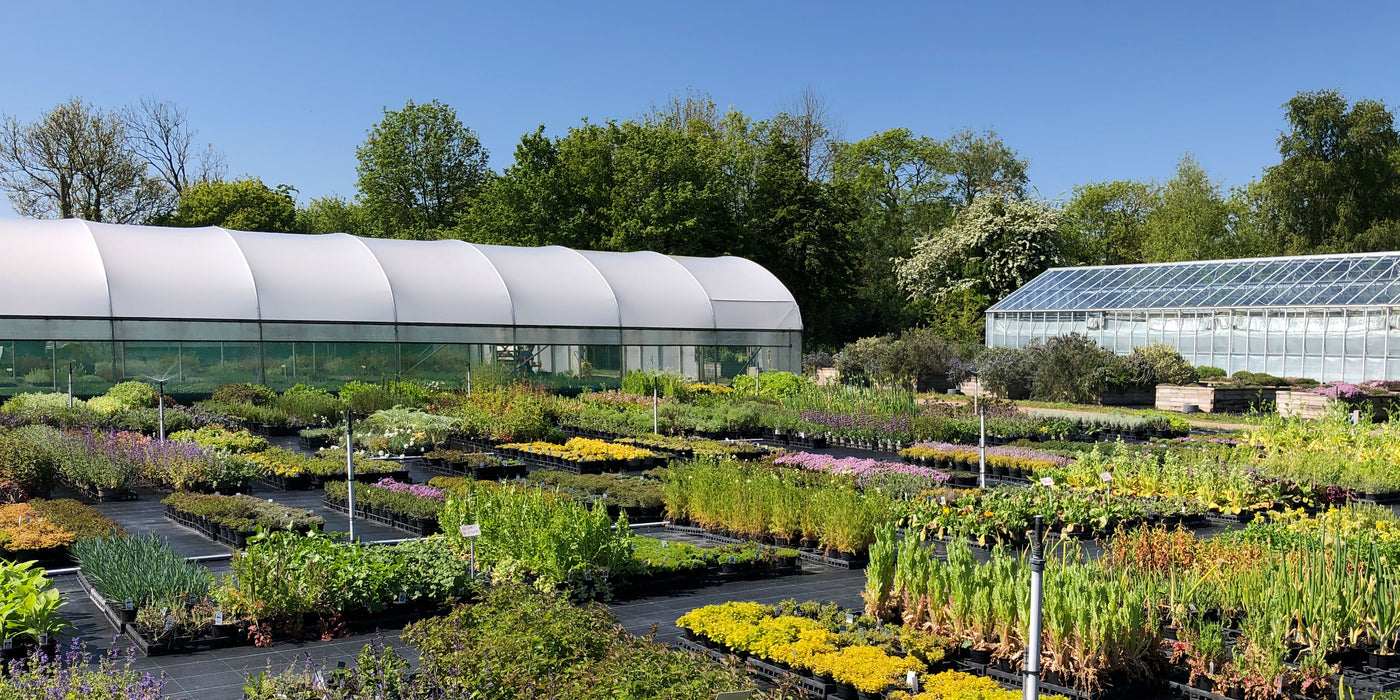 Jekka's Herb Days & Open Days - Tickets