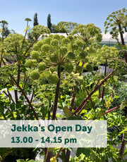 Jekka's Open Day E-Tickets- Friday 1st September 2023
