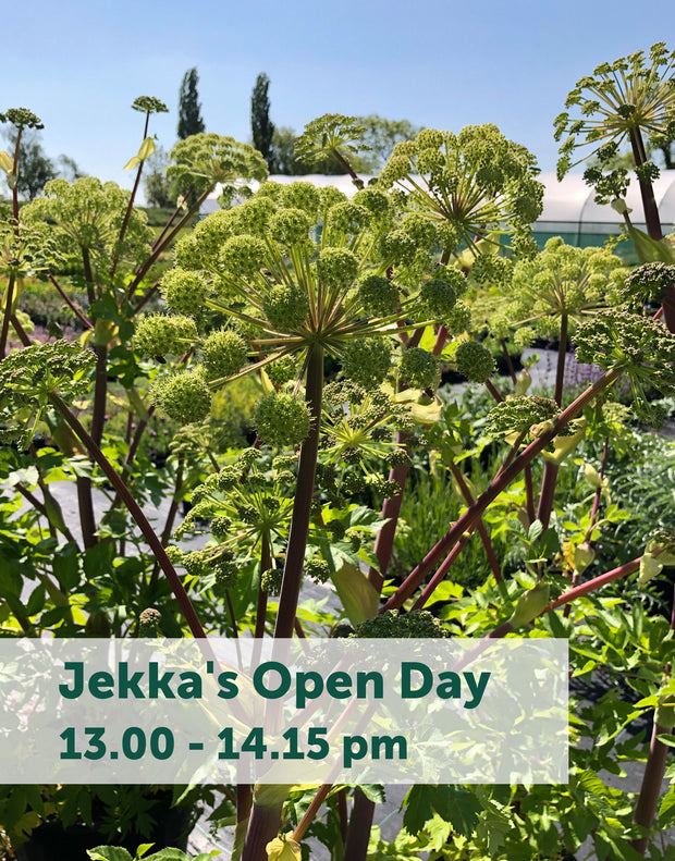 Jekka's Open Day E-Tickets- Friday 1st September 2023