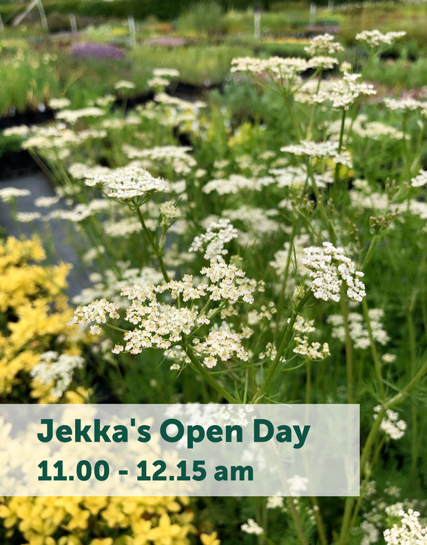 Jekka's Open Day E-Tickets- Saturday 5th August 2023