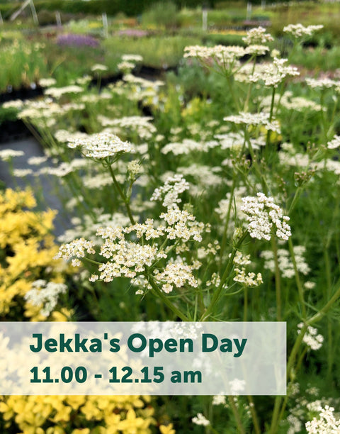 Jekka's Open Day E-Tickets- Friday 5th April 2024