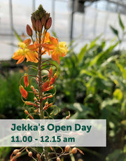 Jekka's Open Day E-Tickets- Friday 1st September 2023