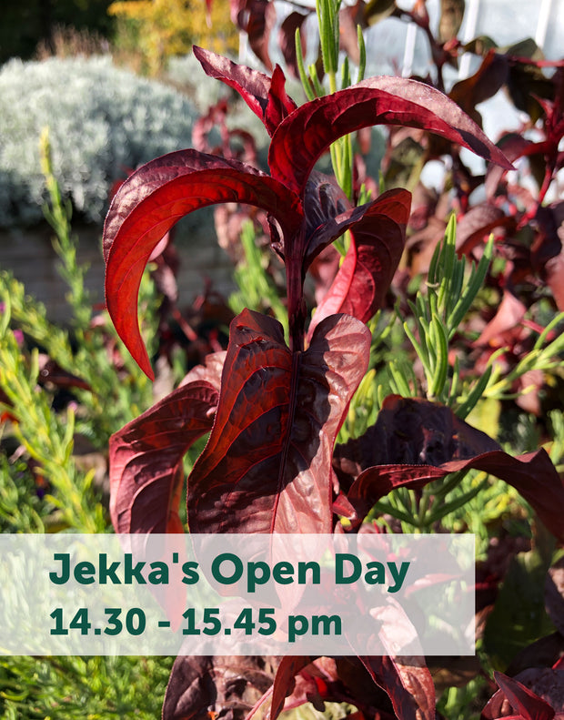Jekka's Open Day E-Tickets- Friday 6th October 2023