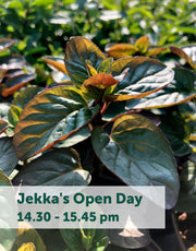 Jekka's Open Day E-Tickets- Saturday 7th October 2023
