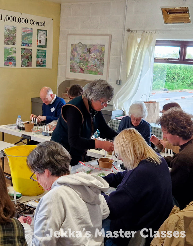 How to Grow Herbs, 25th April 2025