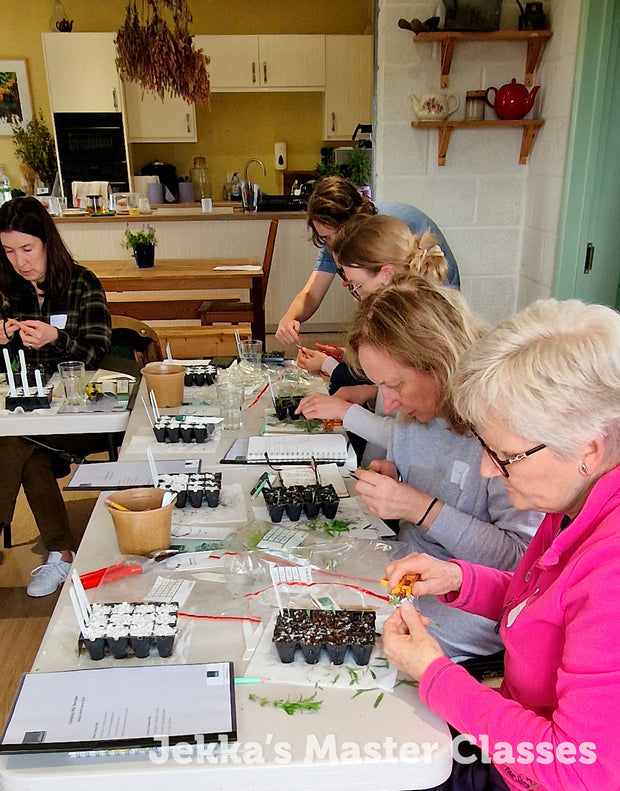 How to Grow Herbs, 25th April 2025