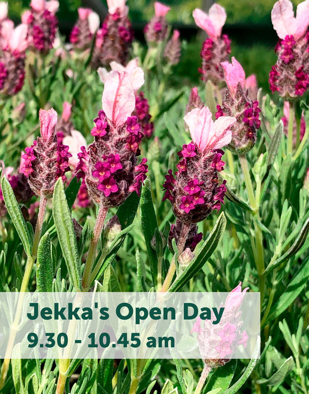 Jekka's Open Day E-Tickets- Friday 6th October 2023