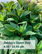Jekka's Open Day E-Tickets- Saturday 6th April 2024
