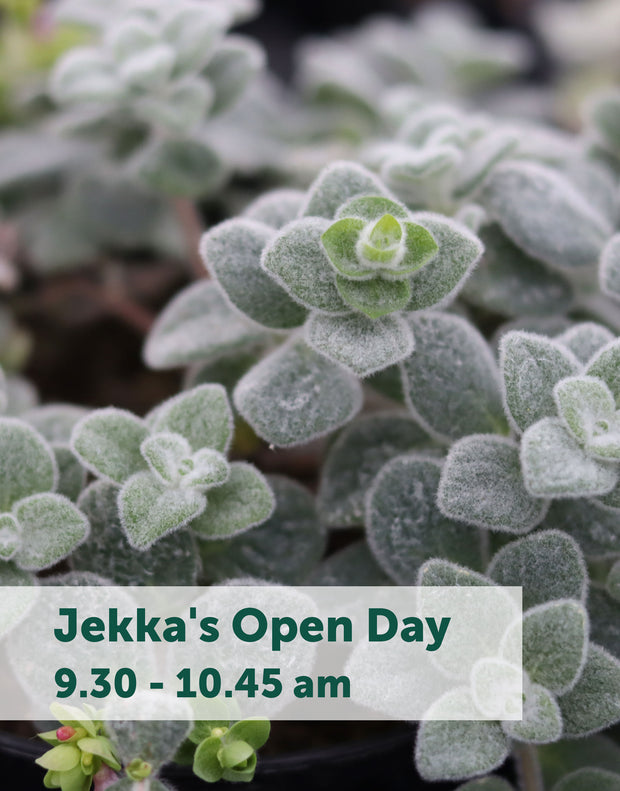 Jekka's Open Day E-Tickets- Saturday 5th August 2023
