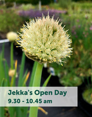 Jekka's Open Day E-Tickets- Friday 1st September 2023