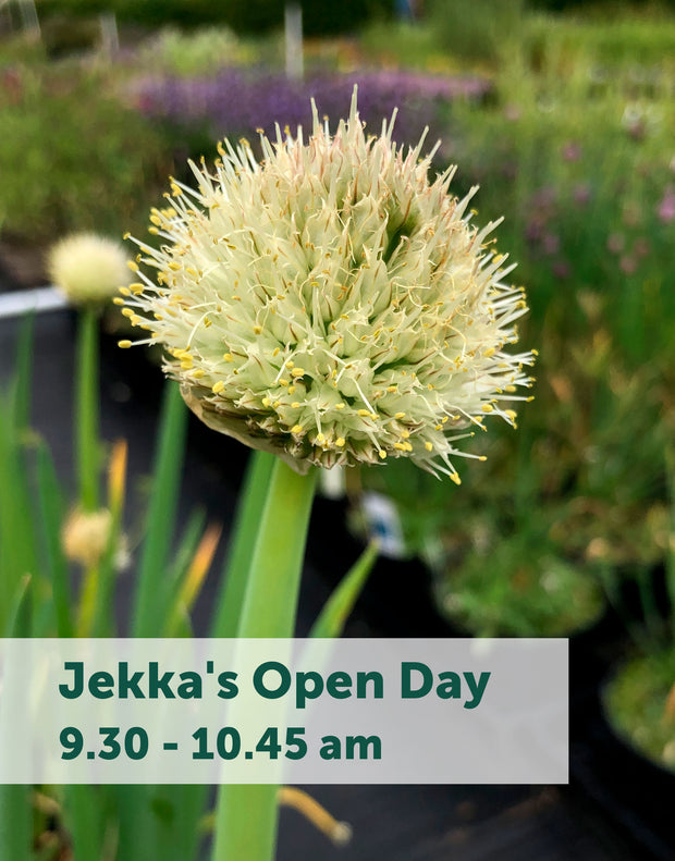 Jekka's Open Day E-Tickets- Friday 1st September 2023