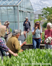The Herb Kitchen: Preserving & Using Herbs, 17th April 2026