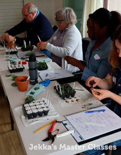 How to Grow Herbs, 3rd October 2025