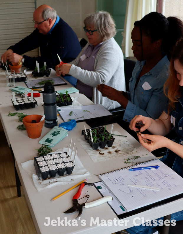 How to Grow Herbs, 3rd October 2025