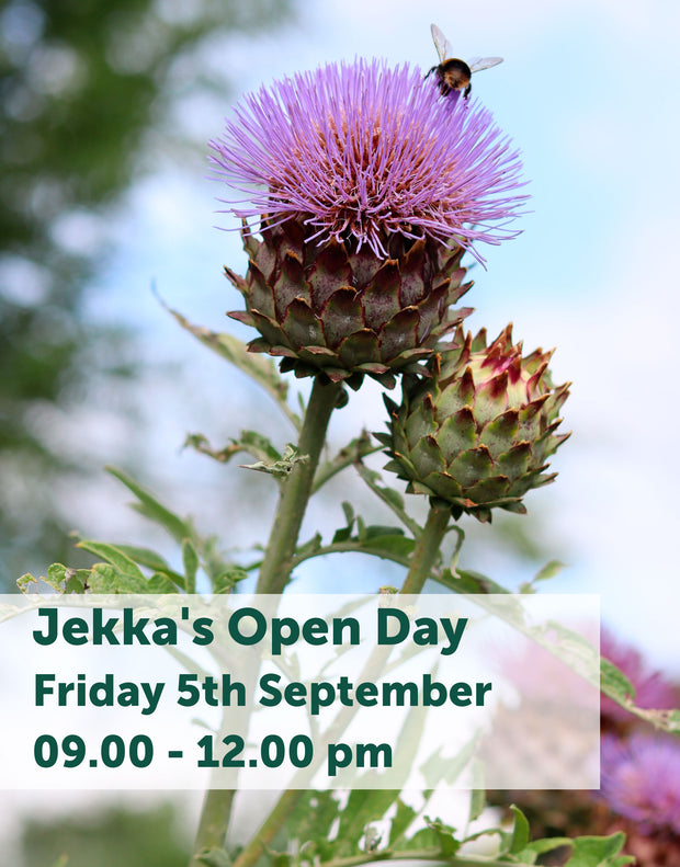Jekka's Open Day E-Tickets- Friday 5th September 2025