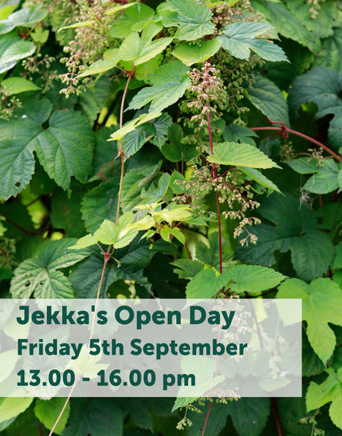 Jekka's Open Day E-Tickets- Friday 5th September 2025