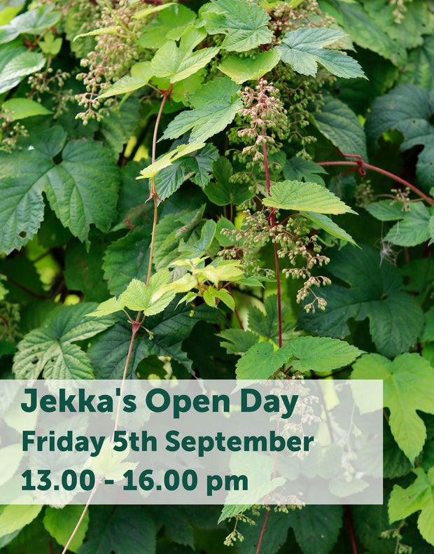 Jekka's Open Day E-Tickets- Friday 5th September 2025