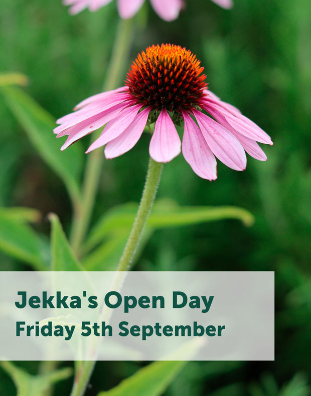 Jekka's Open Day E-Tickets- Friday 5th September 2025