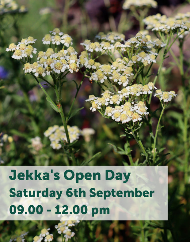Jekka's Open Day E-Tickets- Saturday 6th September 2025