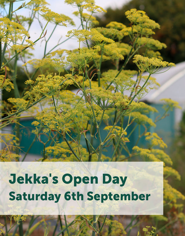 Jekka's Open Day E-Tickets- Saturday 6th September 2025