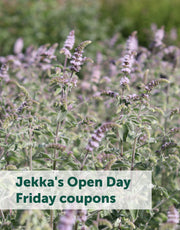 Jekka's Open Day E-Tickets- Friday 4th August 2023