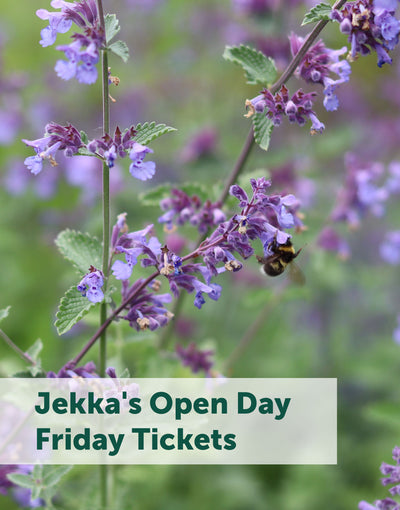 Jekka's Open Day E-Tickets- Friday 7th June 2024