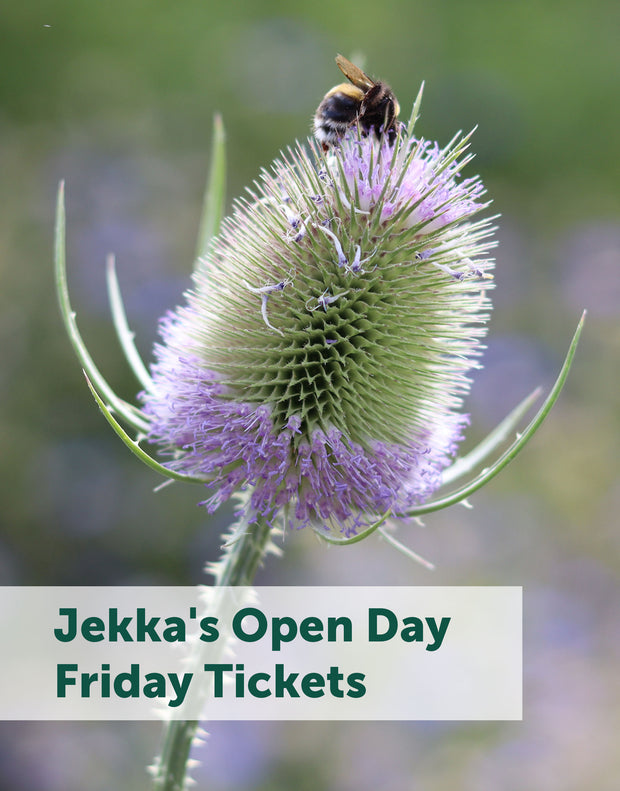 Jekka's Open Day E-Tickets- Friday 1st September 2023