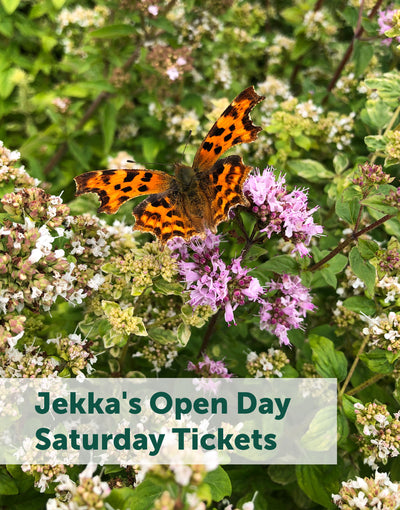 Jekka's Open Day E-Tickets- Saturday 4th May 2024