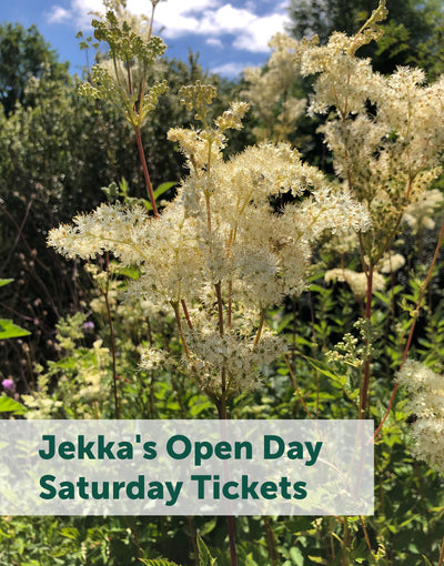 Jekka's Open Day E-Tickets- Saturday 5th August 2023