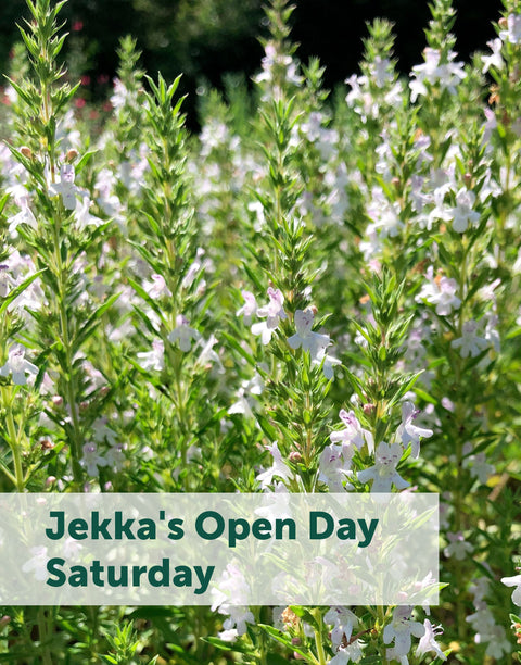 Jekka's Open Day E-Tickets- Saturday 6th April 2024