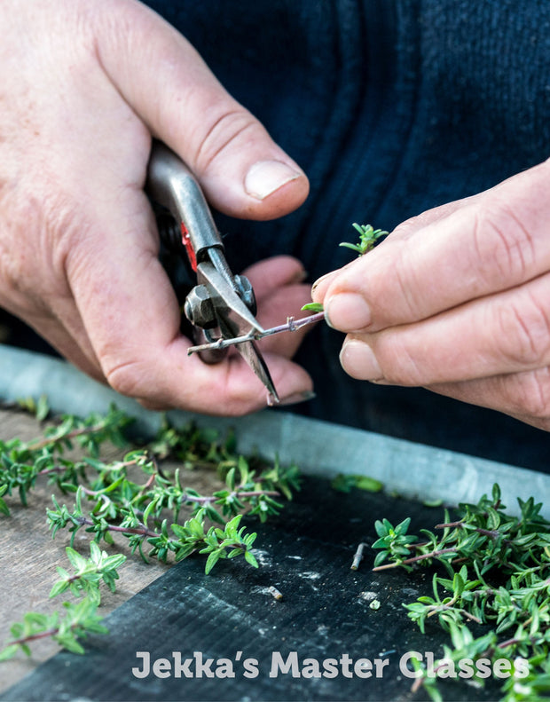 How to Grow Herbs, 25th April 2025