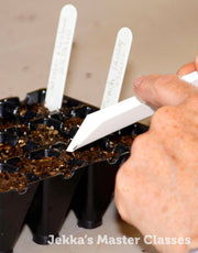 How to Grow Herbs, 25th April 2025