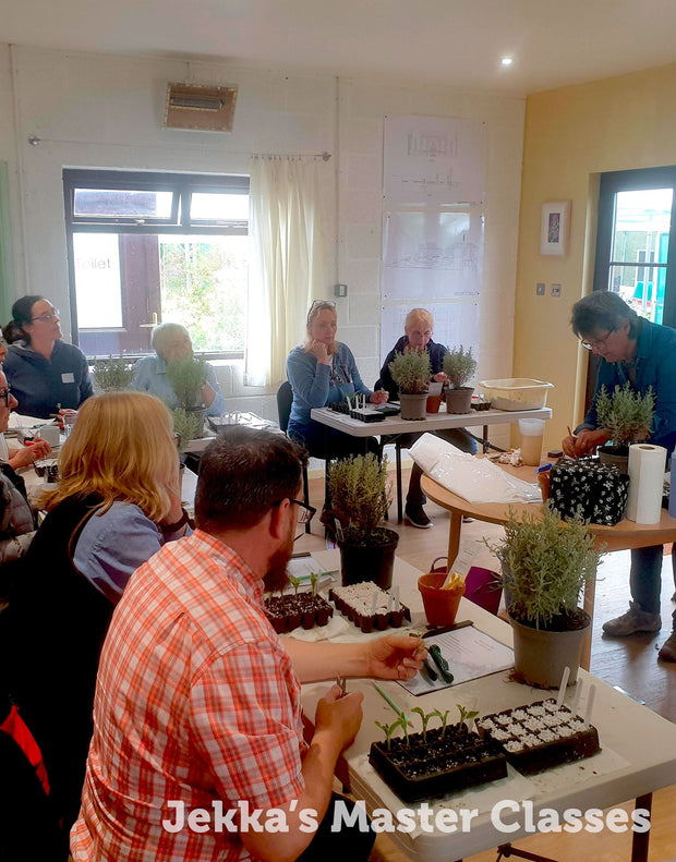 How to Grow Herbs, 25th April 2025