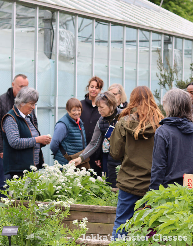 Designing Your Own Herb Garden, 24th April 2026