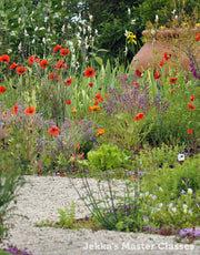 Designing Your Own Herb Garden, 24th April 2026