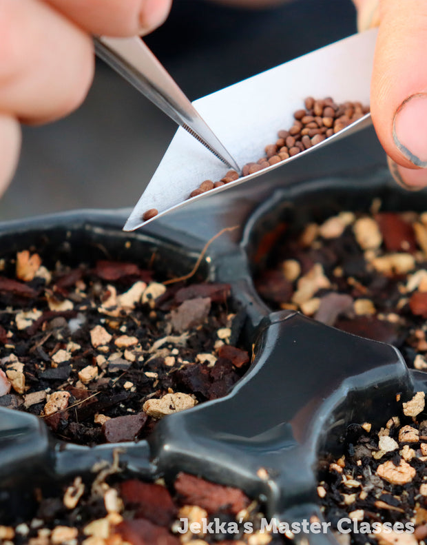 The Complete Herb Grower, 10th April 2026