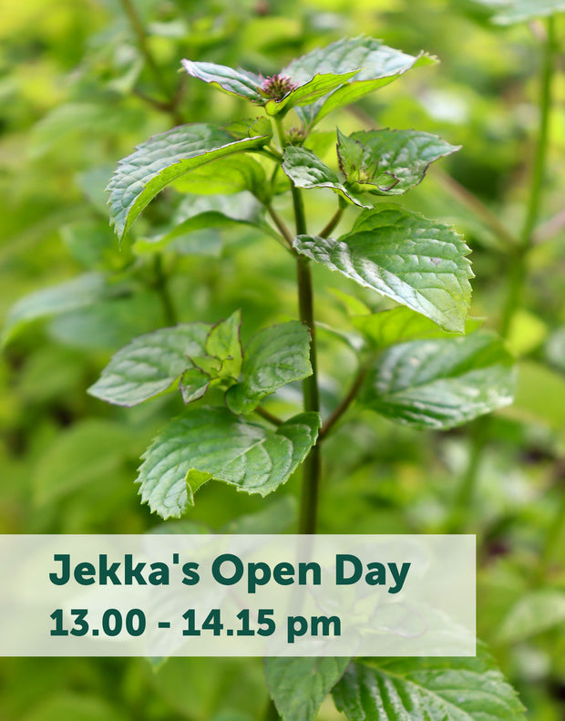 Jekka's Open Day E-Tickets- Friday 31st March 2023