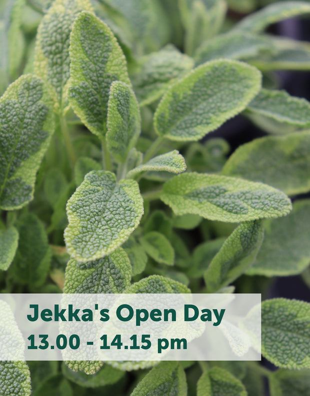 Jekka's Open Day E-Tickets- Saturday 1st April 2023
