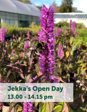 Jekka's Open Day E-Tickets- Friday 4th August 2023